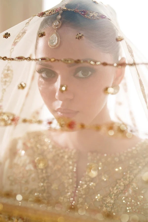 EMBROIDERED NET BAROUQE pakistani fashion outfit with coordinated…